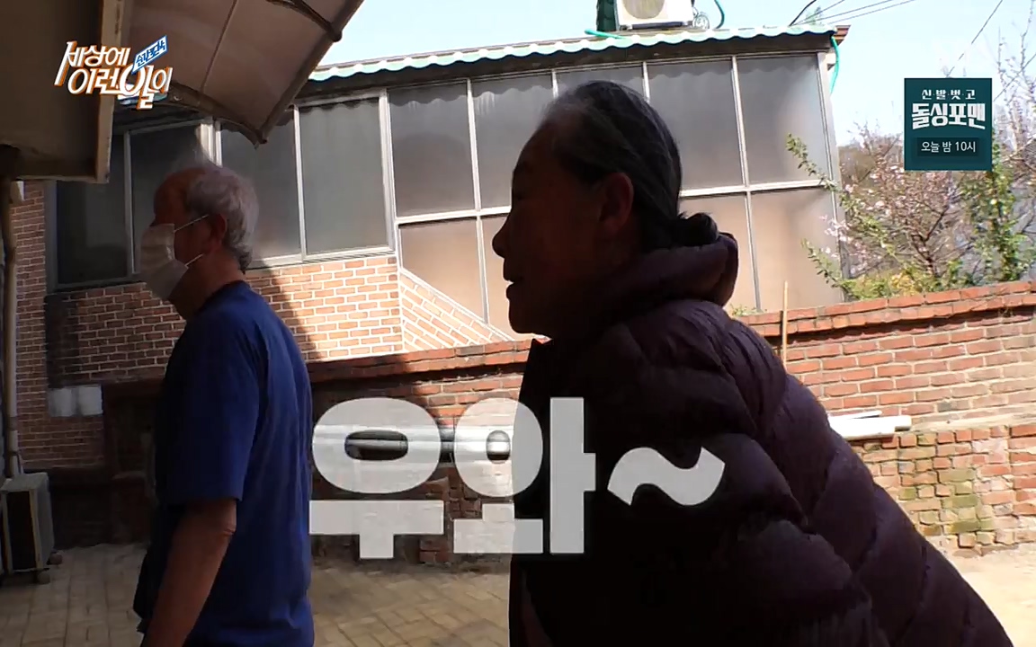 순간포착 세상에 이런일이.E1175.220413p-NEXT.mp4_20220413_175848.979.jpg