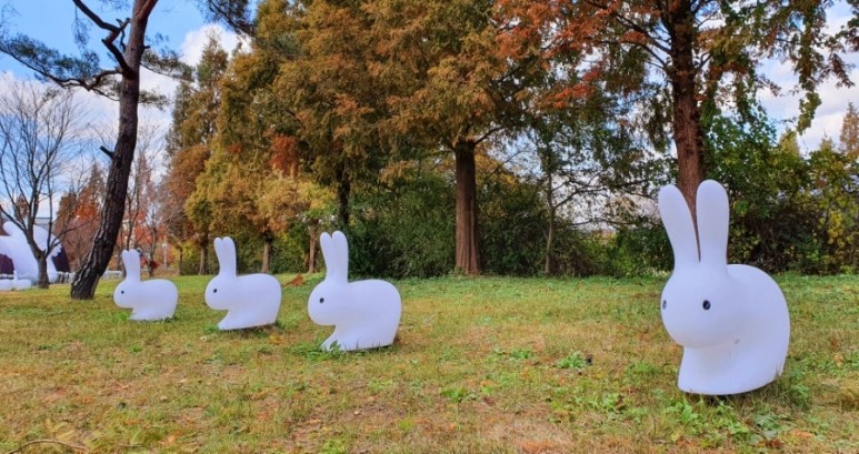 - 수덕사, 명상치유림길과 수암산의 가을 예산으로 볼거리, 단풍여행 15