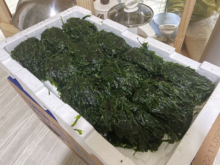 파래무침 바로 지금, (초간단버전) 23