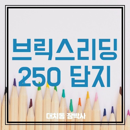브릭스리딩 250 답지