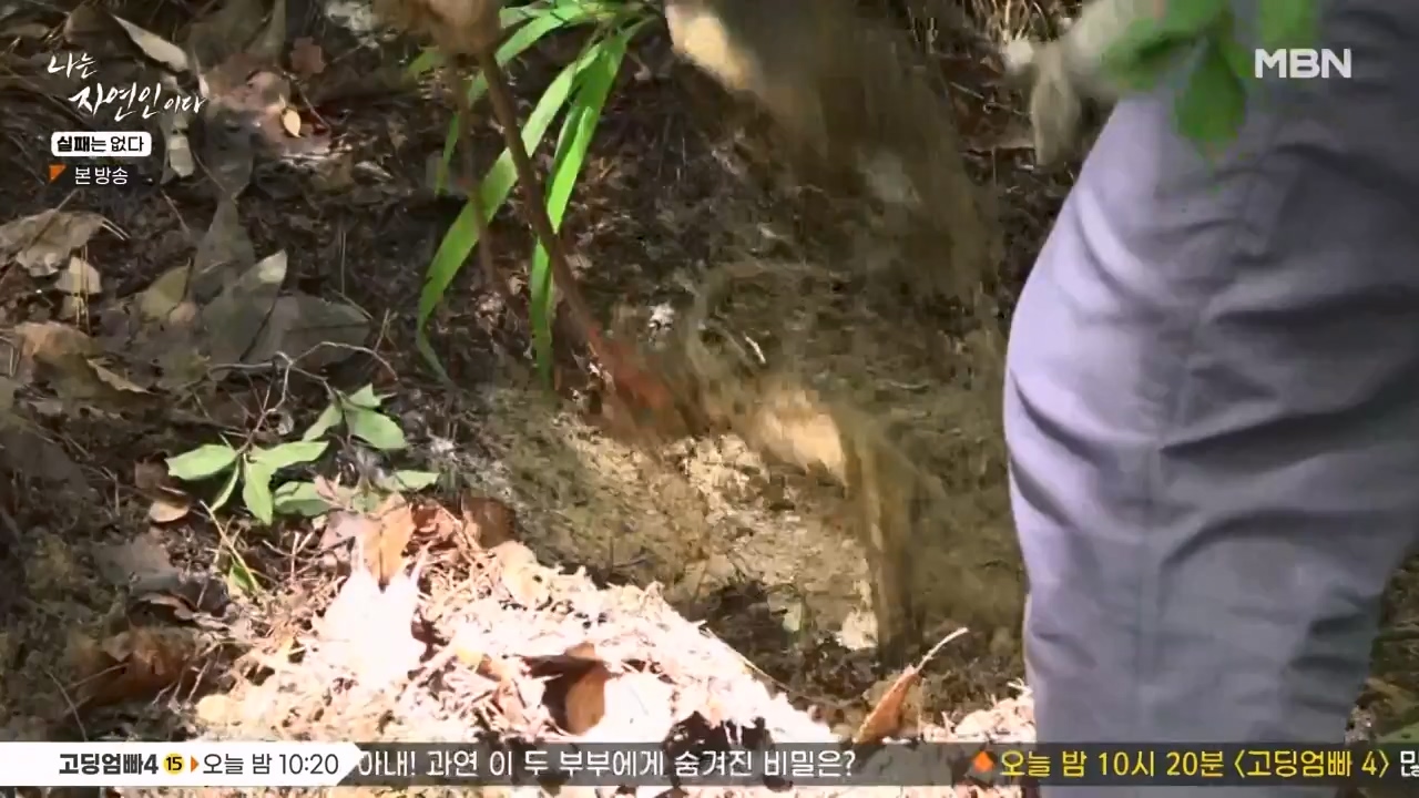 나는 자연인이다.E567.230817p-NEXT.mp4_20230817_202909.945.jpg