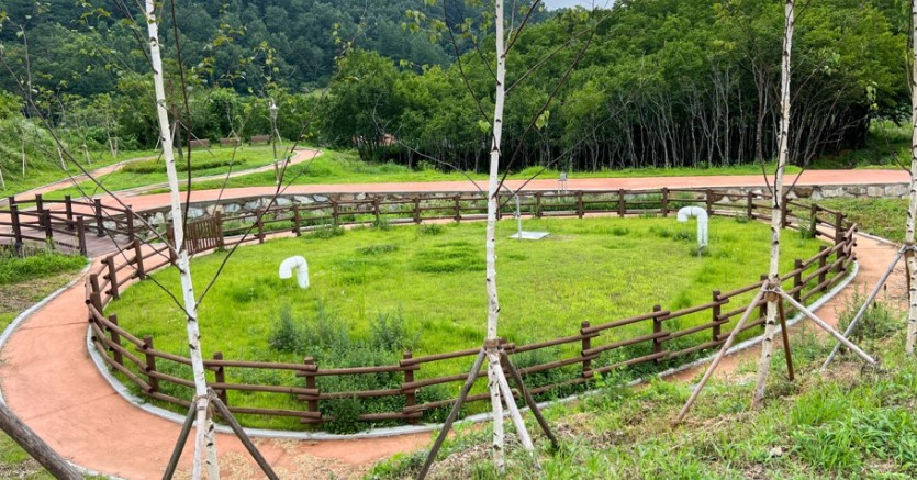  가야산 오토캠핑장