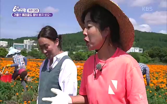 [7612회] 6시 내고향 - KBS7612회] 6시 내고향.ts_20220912_174119.419.jpg