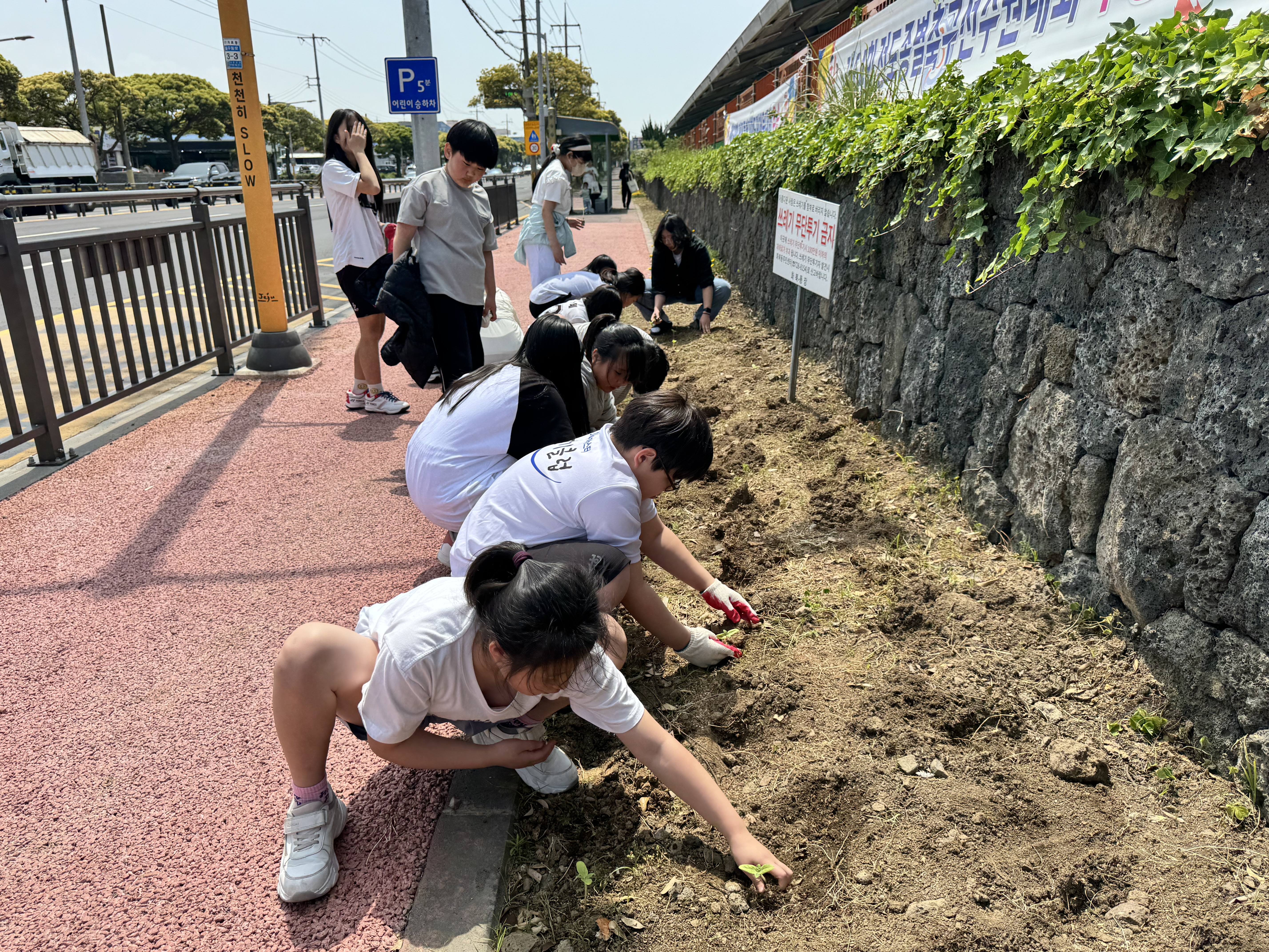 화북초등학교 이미지