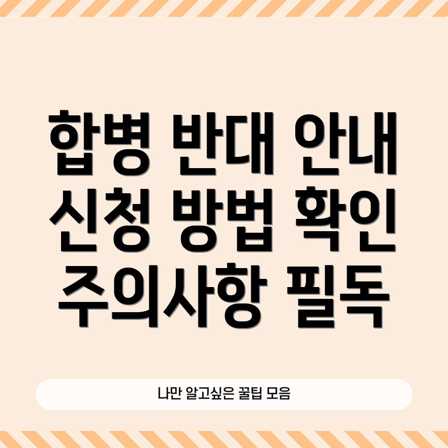 카카오 소규모 합병