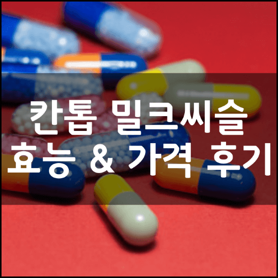 칸톱-간톱-밀크시슬-썸네일