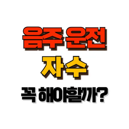 음주운전 자수 썸네일