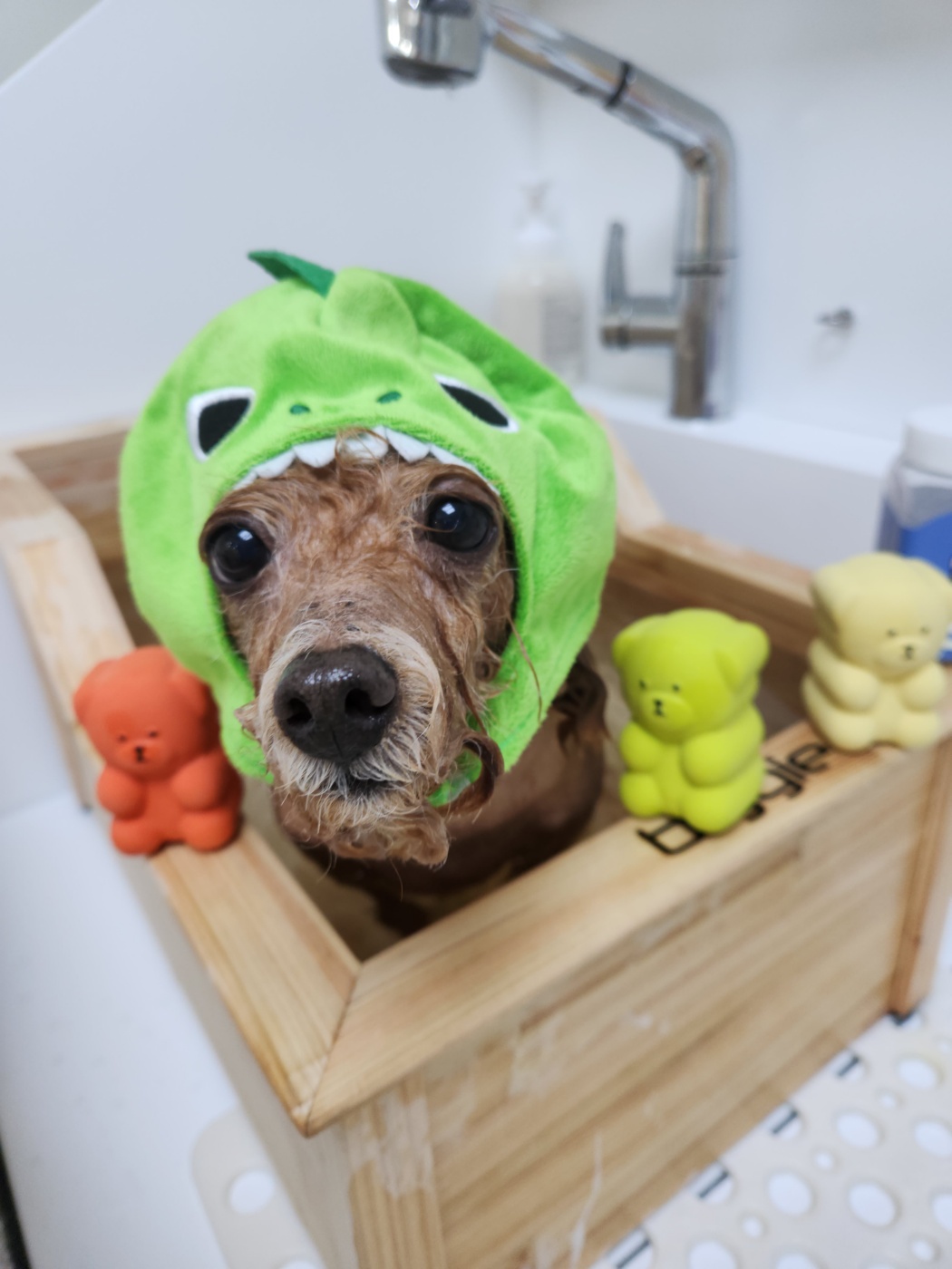 보리미용실 이미지