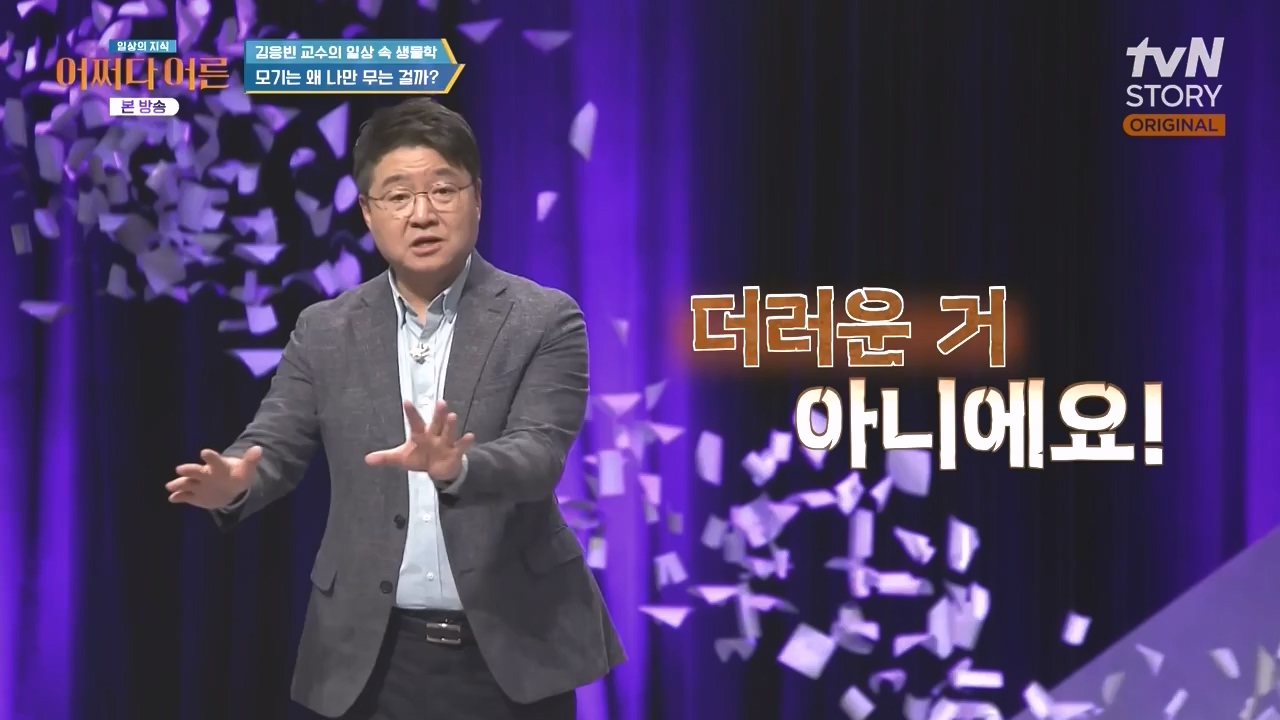 어쩌다 어른.E51.240410p-NEXT.mp4_20240410_180517.234.jpg