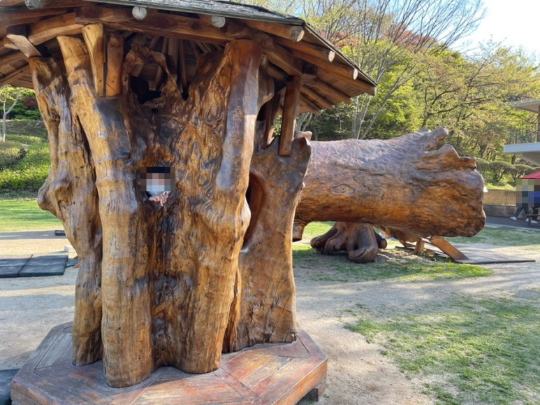 세종 가볼만한곳세종 가볼만한곳베어트리파크 22