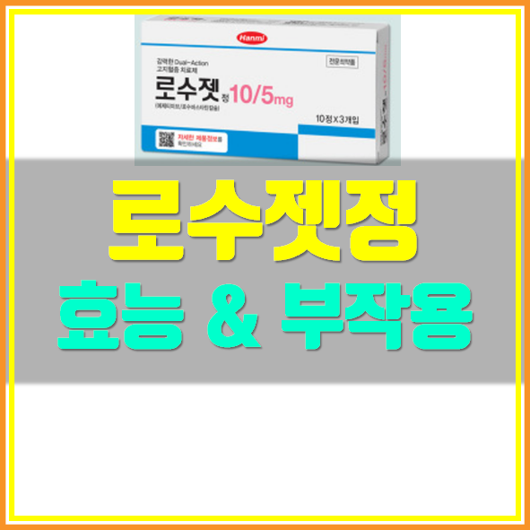  로수젯정 부작용 복용법