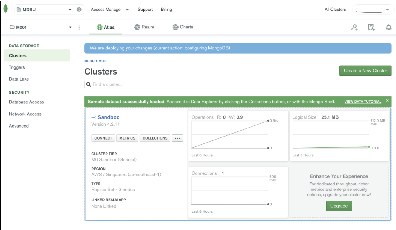 mongodb database