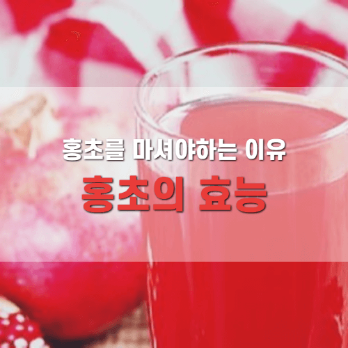 레드죠의 칼로리 효과를 마시자! 3