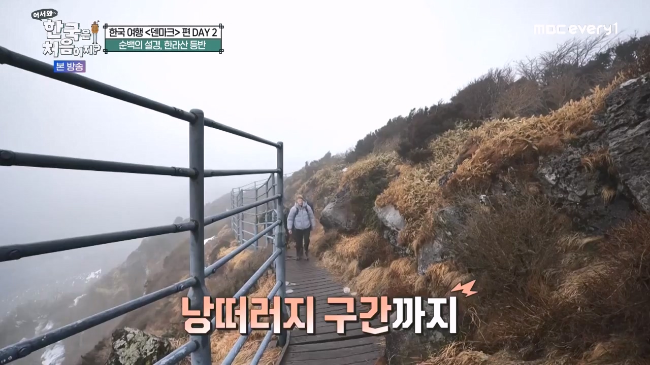 어서와 한국은 처음이지 시즌2.E303.240223p-NEXT.mp4_20240223_212058.256.jpg