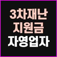  3차 재난지원금 자영업자