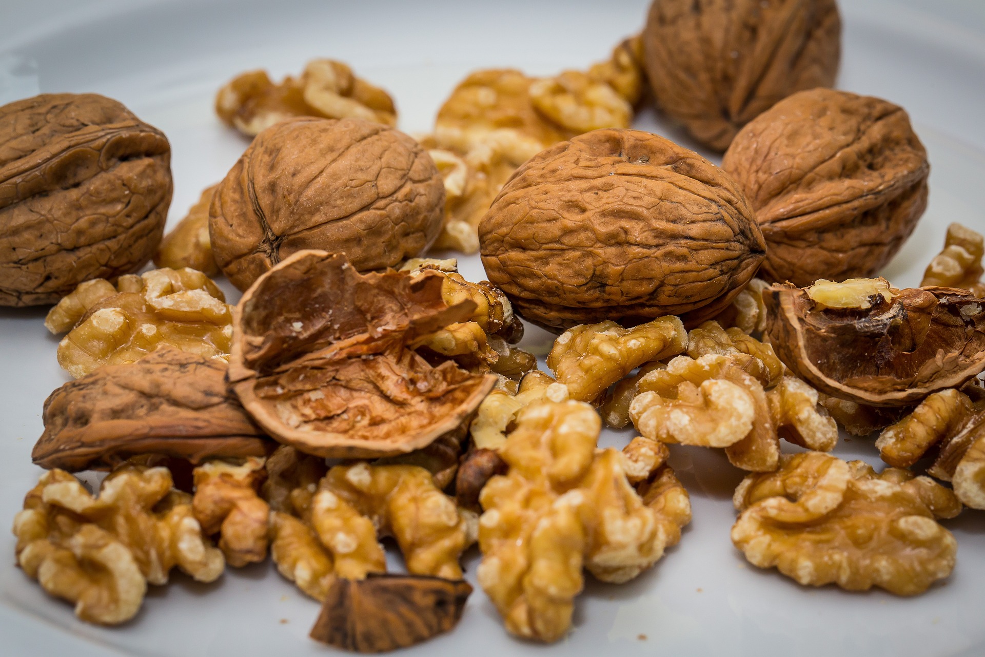 walnut-2816935_1920 하얀 바닥에 통 호두를 몇 개 두었고, 그 옆에는 호두를 까서 그 껍데기와 속의 알맹이를 흩어 놓은 사진