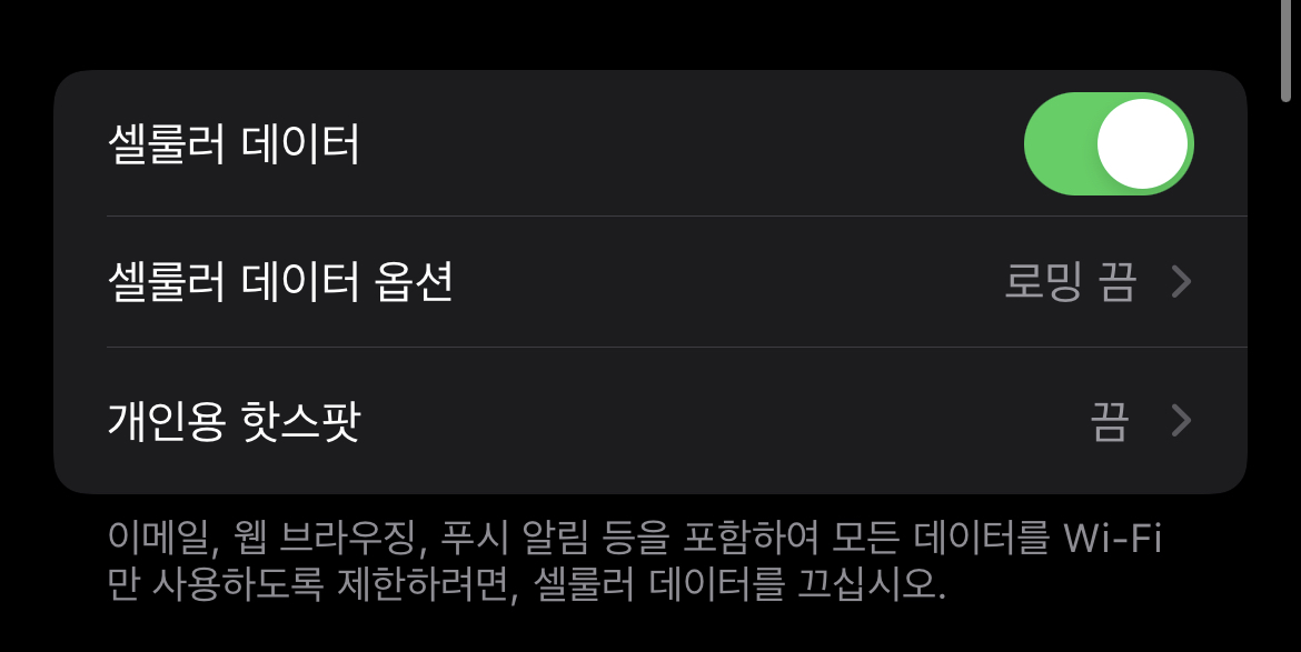 셀룰러 설정 화면