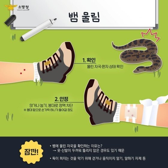 뱀에-물렸을-때