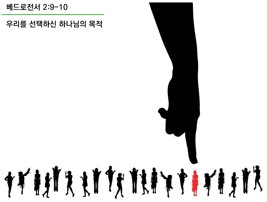  베드로전서 2:9-10, 우리를 선택하신 하나님의 목적(찬502장) - 설교준비를 위한 자료 모음