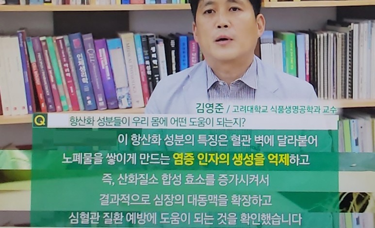 안토시아닌 효능을 모르는 분들 주목 8