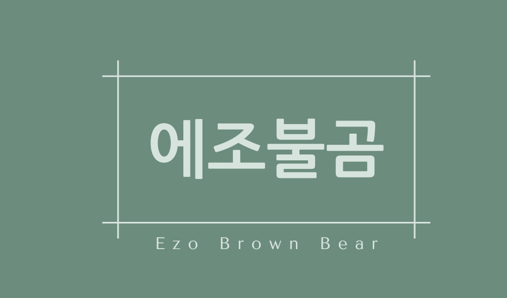 에조불곰(Ezo Brown Bear)