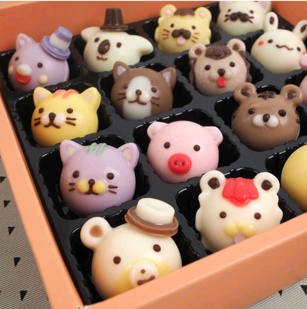  발렌타인데이 준비해요 초콜릿골라담기 붐스토리 동물얼굴 초콜릿만들기세트 초콜릿