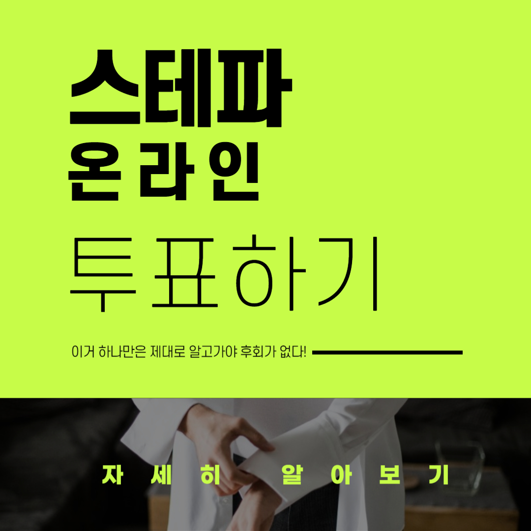 스테파 투표하기