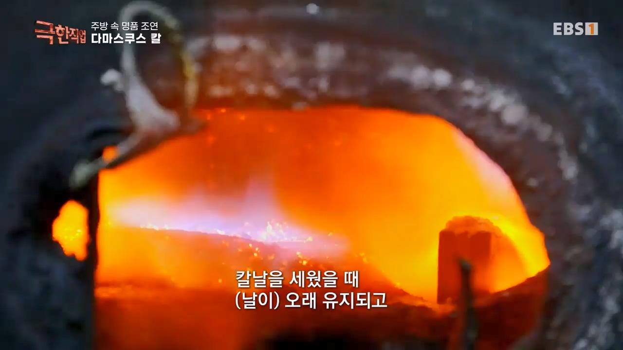 TV - 전 국민의 평생학교 EBS주방속 명품 조연!.mp4_20240312_202415.391.jpg