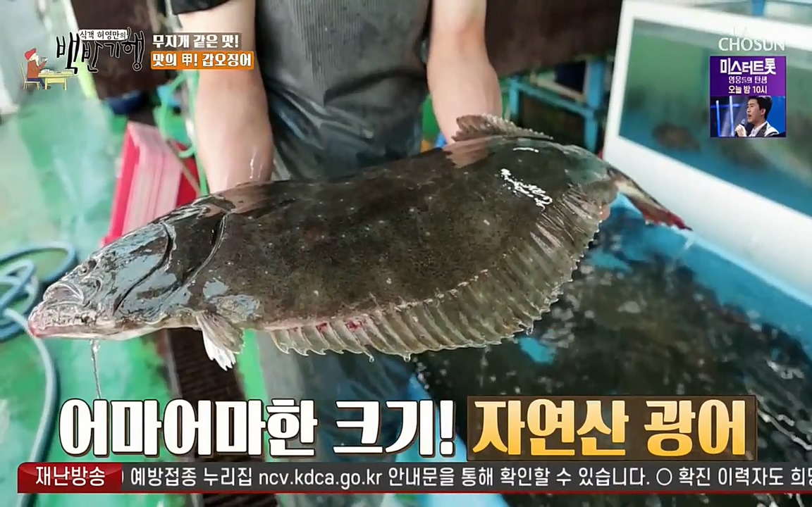 식객 허영만의 백반기행.E161.220723p-NEXT.mp4_20220723_171516.918.jpg