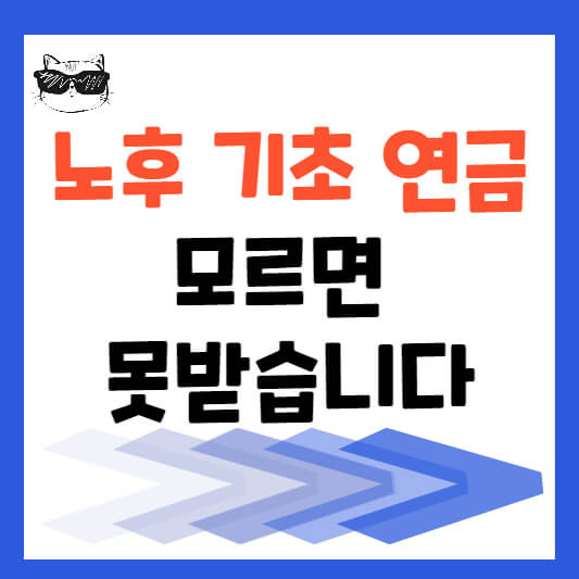 노후 기초 연금 모르면 못받습니다 섬네일