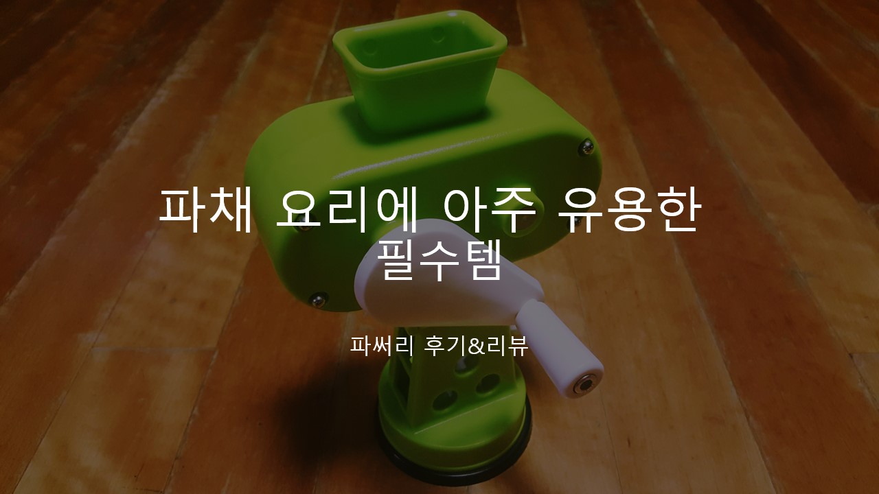  한고은 파채 기계, 일명 파써리로 만든 파채요리 후기&리뷰