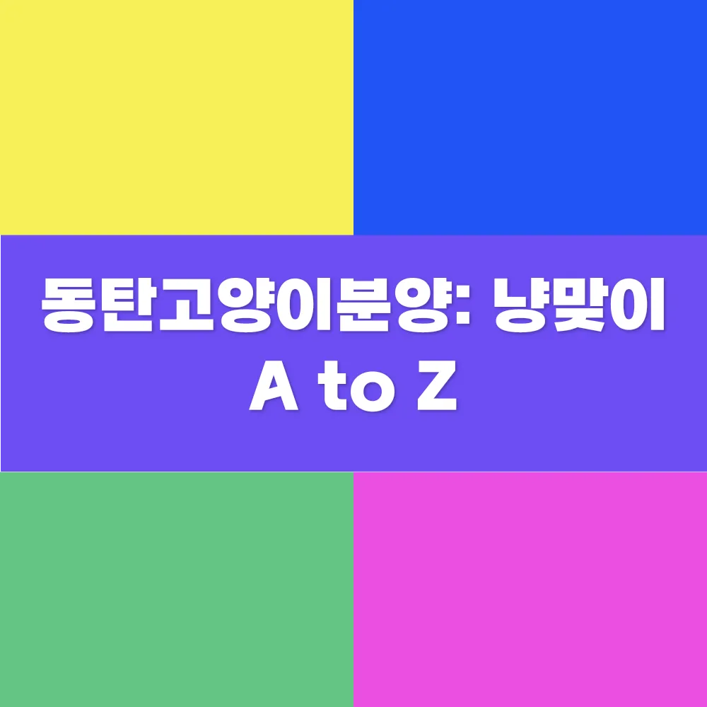 썸네일 이미지