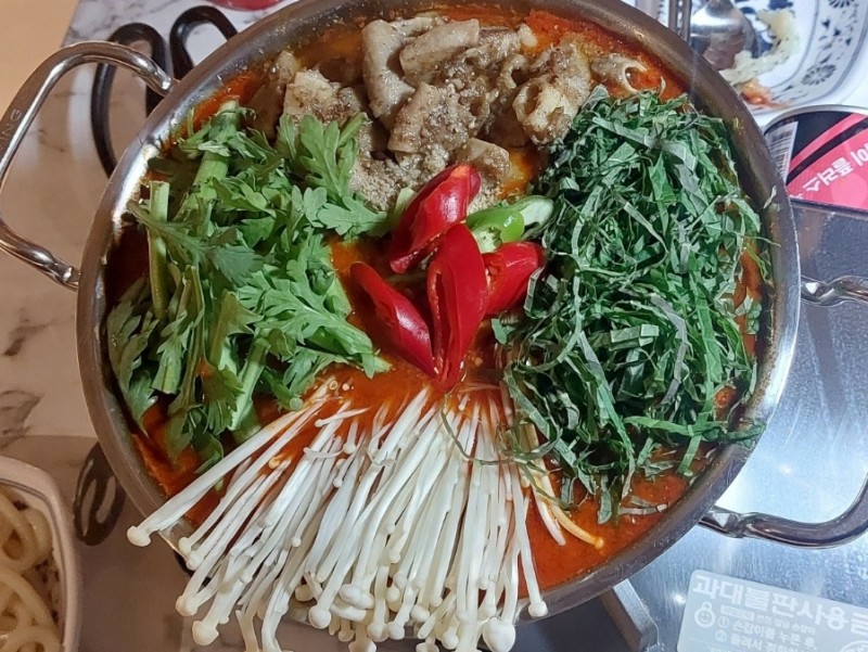 하이하이 이미지