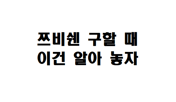  쯔비쉔(Zwischen) 이정도는 알고 구하자!