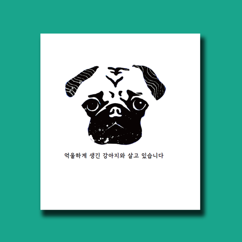 김예 이미지