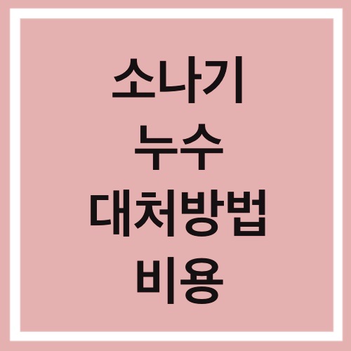  소나기 아파트 누수 대처 방법 외벽 누수 작업