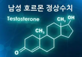 남성 호르몬 정상수치