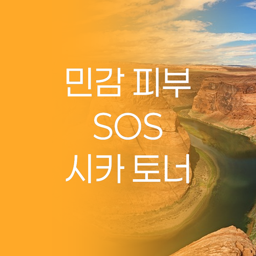 민감 피부 SOS, 닥터지 시카 토너