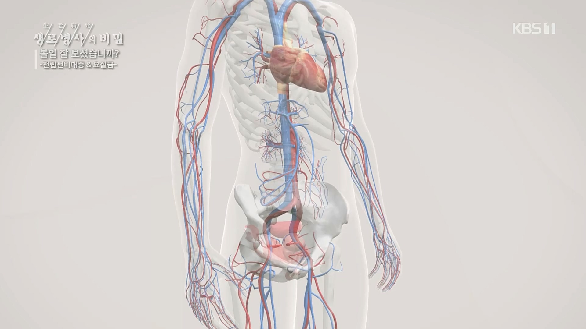 생로병사의 비밀.E856.230215p.H264-F1RST.mp4_20230216_195517.296.jpg