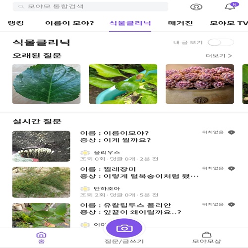 사진으로 식물이름찾기 어플 Top 3