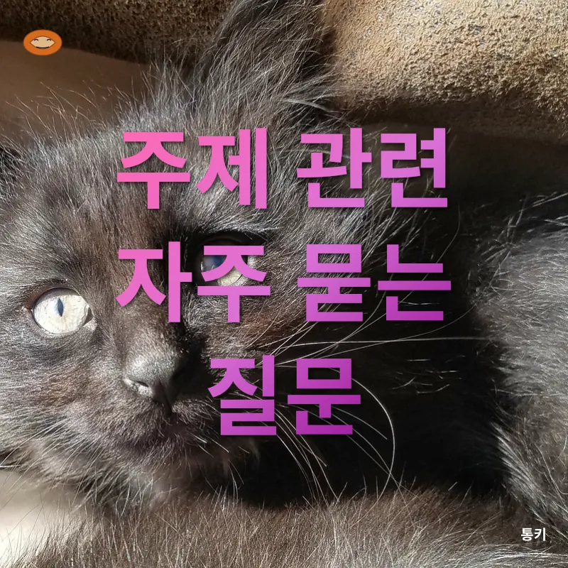자아사랑의 권능_4