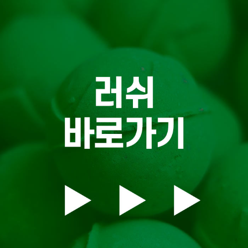 https://www.lush.co.kr/