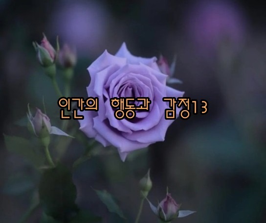 인간의 행동과 감정 - 해몽13;자신감,망설임,괜찮다,별수없다,조심,큰일났다,전쟁났다,이상하다,가난과부자,죽음생각,자기만못하다는생각,좋다또는싫다,오랜만,늦었다,잠시동안,벌써이루어..