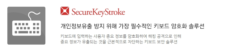 SecureKeyStroke 의 정체