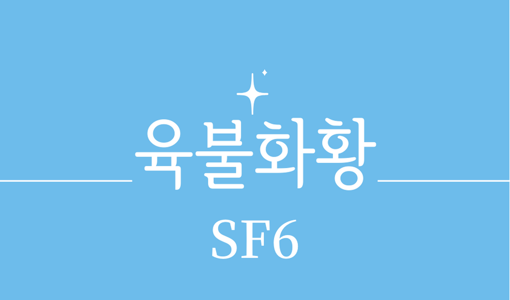 &#39;육불화황(SF6)&#39;