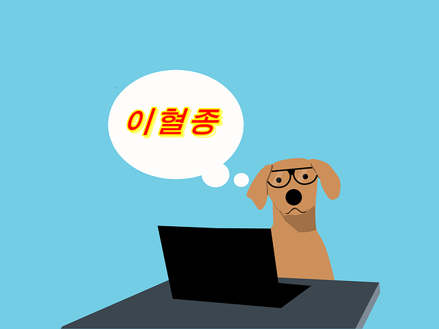  개의 귀가  부풀어 오르는 '이혈종'. 도대체 어떤 병일까?