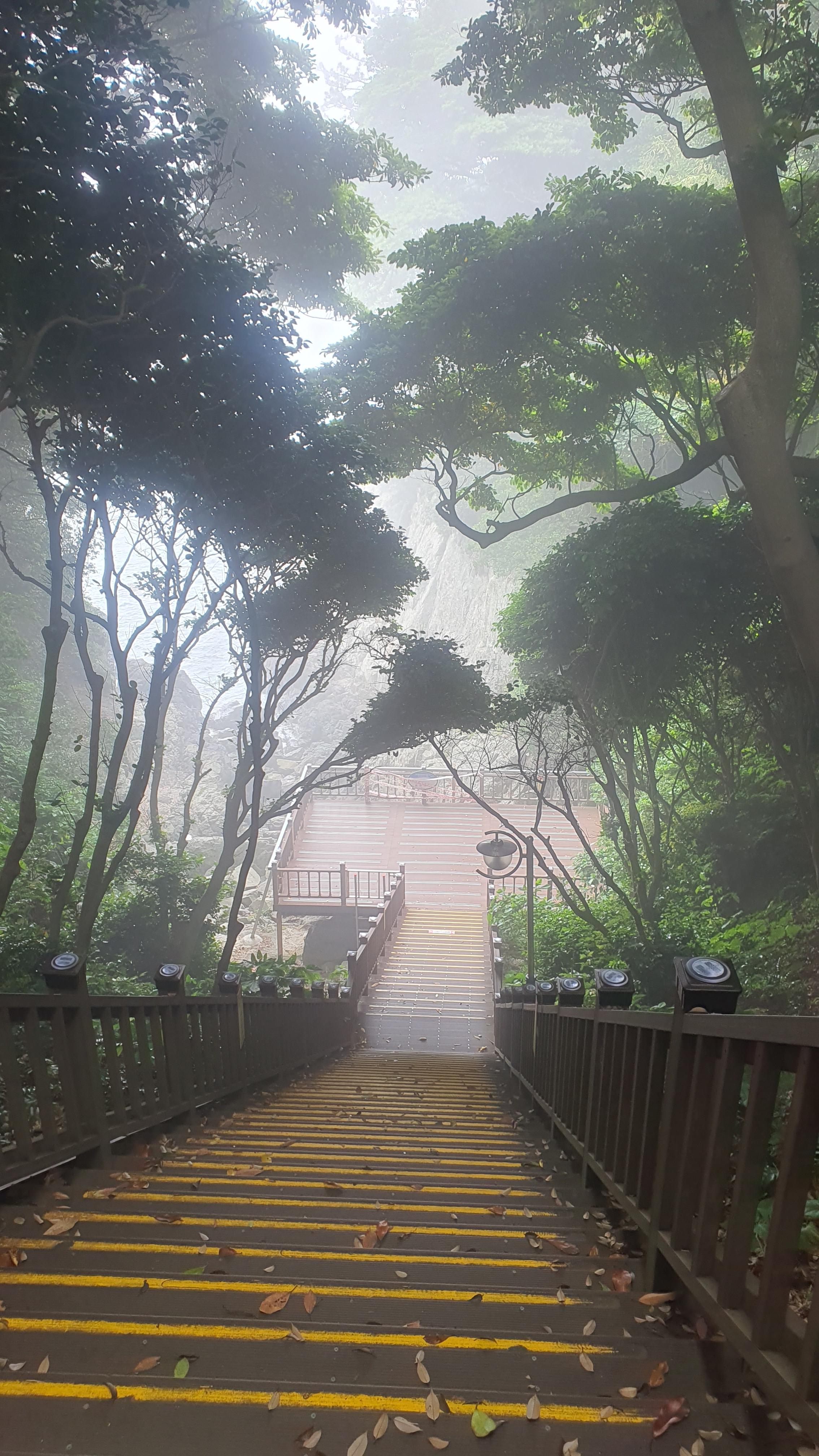 동백섬으로 유명한 여수 오동도