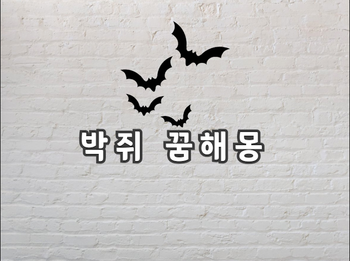  박쥐 꿈 이게 대체 의미하는게 뭘까요? 박쥐 꿈해몽