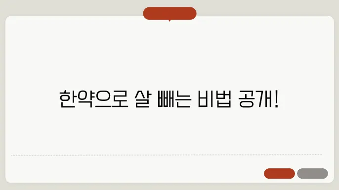 다이어트에 도움되는 한약재와 활용법