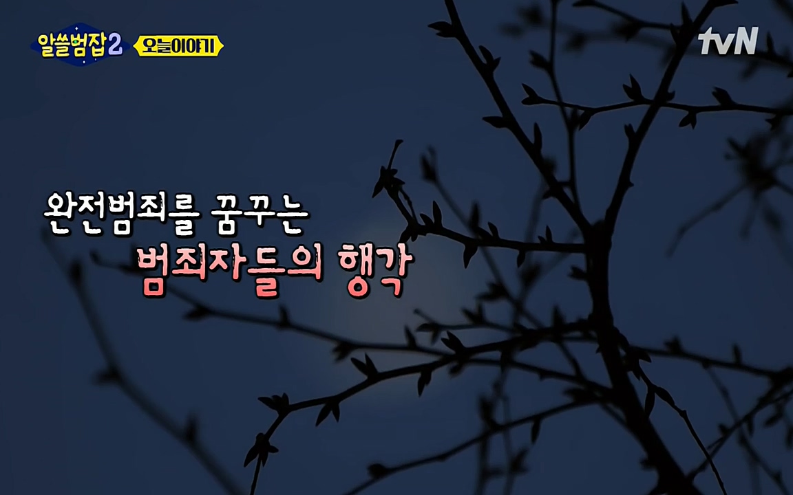 알쓸범잡 2.E15.220425p-NEXT.mp4_20220425_174258.158.jpg